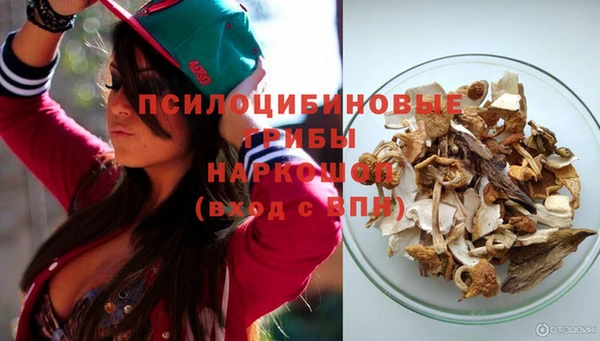 стаф Семёнов
