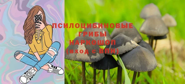 тгк Верхний Тагил